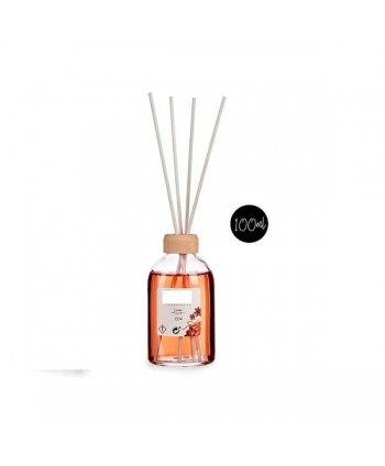 MIKADO 100ML CANELA
