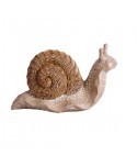 CARACOL DECORATIVO PE