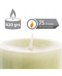 VELA CILÍNDRICA PERFUMADA PINO VERDE 420 G