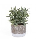 PLANTA DECORATIVA MACETA CEMENTO