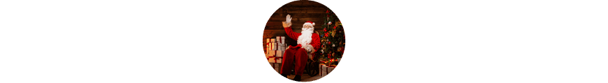≫ Decoración navideña Santa Claus ⊛ Iglú Tiendas